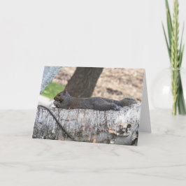 Blanco Wenskaarten eekhoorn Kaart
