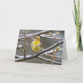 blanco Wenskaarten grasmus Kaart