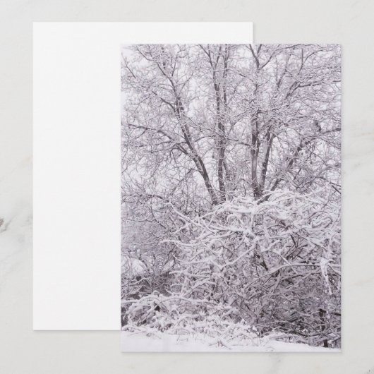 Blanco wintersceen feestdagenkaart (Voorkant / Achterkant)