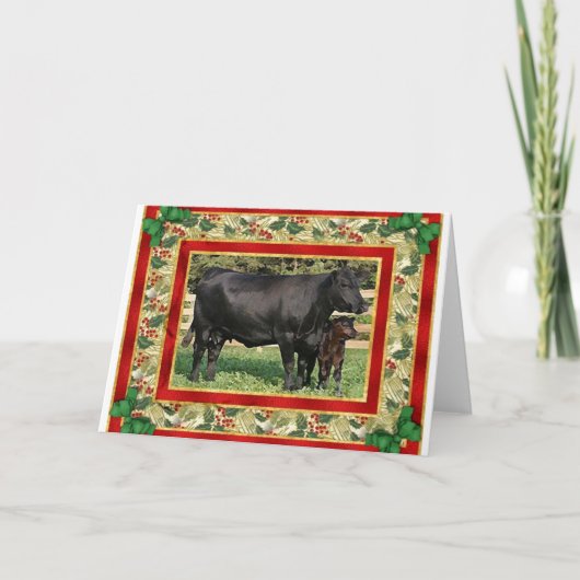Blank Angus Koe en kalf Blank Kerst Kaart (Voorkant)