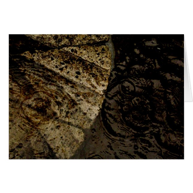 Blank_Autumn Leaf Puddle (Voorkant Horizontaal)