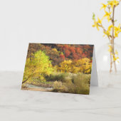 Blank Binnen Herfst Zion National Park Groet Kaart (Gele Bloem)