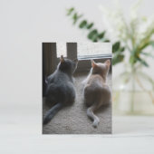Blank Briefkaart van Jasper en Kaylee Kitten (Staand voorkant)