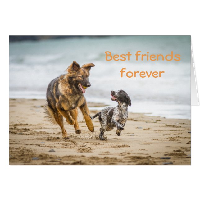 Blank card German Shepherd Dog and Cockerspaniel (Voorkant Horizontaal)