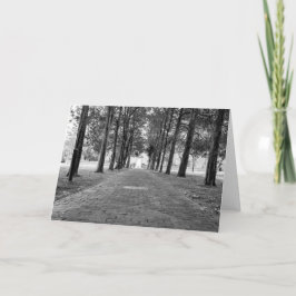 Blank Card - Historic Christ Church Kaart
