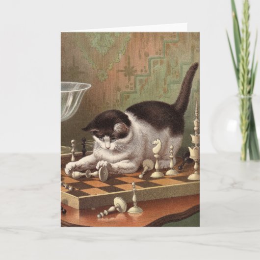 Blank card - Naughty Cat series - Chess Cat Kaart (Voorkant)