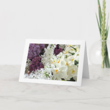 Blank Card - Spring Flowers