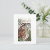 Blank - Carolina Wren Waterverf Print Feestdagenkaart (Staand voorkant)