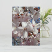 Blank Cherry Blossom Sakura Tree Kaart (Staand voorkant)