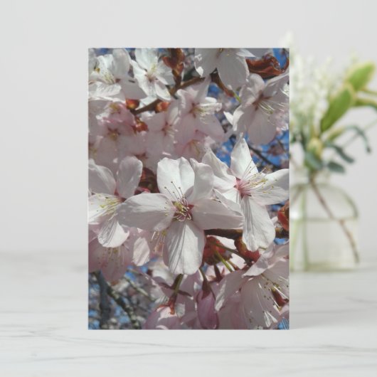 Blank Cherry Blossom Sakura Tree Kaart (Staand voorkant)