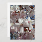 Blank Cherry Blossom Sakura Tree Kaart (Voorkant / Achterkant)