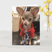 Blank Chihuahua-wenskaart Kaart (Gele Bloem)