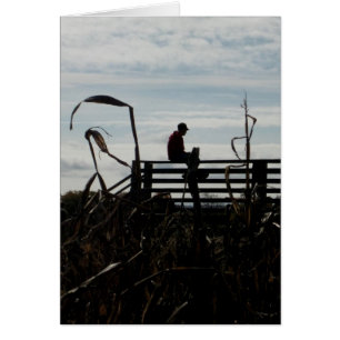 Blank_Corn Field Son