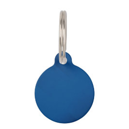 BLANK CREËER UW EIGEN BLAUWE HUISDIER ID TAG HUISDIERPENNING