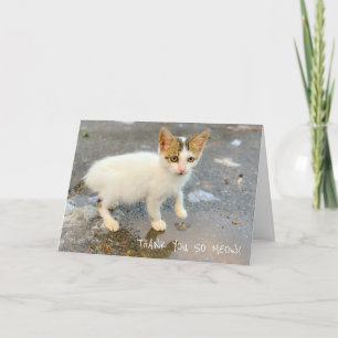 BLANK DANK JE ZO MOOIE! DANK JULLIE KAART