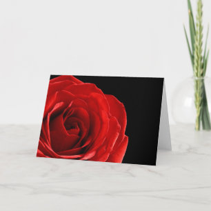 Blank Elegant Red Rose Wenskaart Kaart