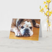 Blank Engels Bulldog Wenskaart Kaart (Gele Bloem)