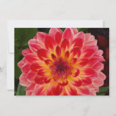 Blank gevouwen uitnodiging (Voorkant)