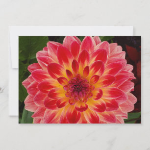 Blank gevouwen uitnodiging