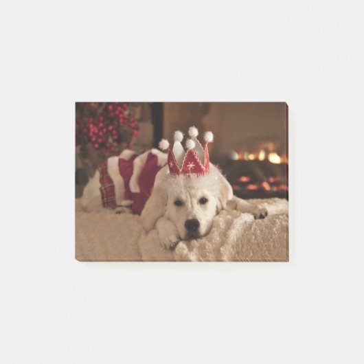 Blank Golden Retriever Foto Post It Notes (Voorkant)