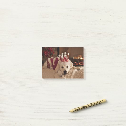 Blank Golden Retriever Foto Post It Notes (Op bureau)