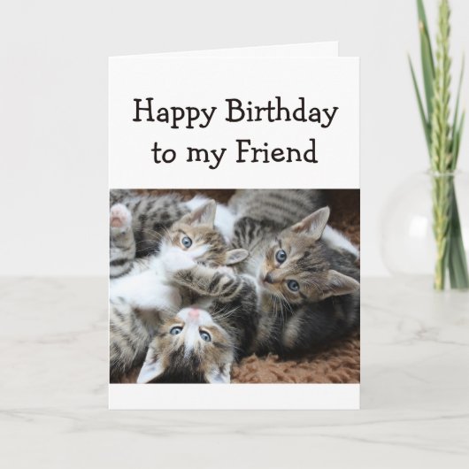 Blank Happy Birthday Friend Fun Pile of Kittens Kaart (Voorkant)