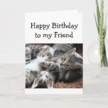 Blank Happy Birthday Friend Fun Pile of Kittens Kaart<br><div class="desc">Fijne verjaardag met een leuke stapel kittens voor de kattenliefhebbende vriend. Lege binnenkant om je eigen bericht toe te voegen</div>