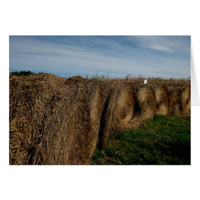 Blank_Hay Bales (Voorkant Horizontaal)