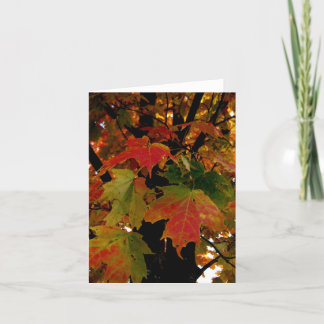 Blank_Herfstbladeren Kaart