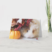 Blank herfstscène Guinee Pig Wenskaart Kaart (Voorkant)