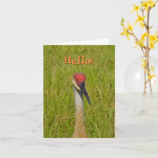 Blank in, Sand Hill Crane Hallo. Wenskaart Kaart (Gele Bloem)