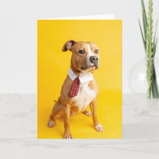 Blank inside Card Kaart