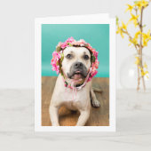 Blank inside Card Kaart (Gele Bloem)