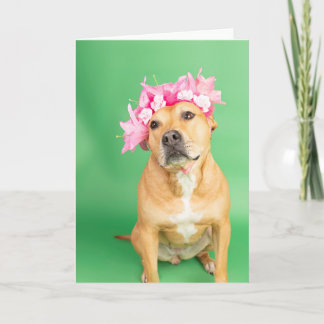 Blank inside Card Kaart