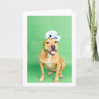 Blank inside Card Kaart