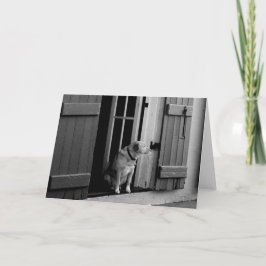 Blank  Lucky Dog Wenskaart Kaart