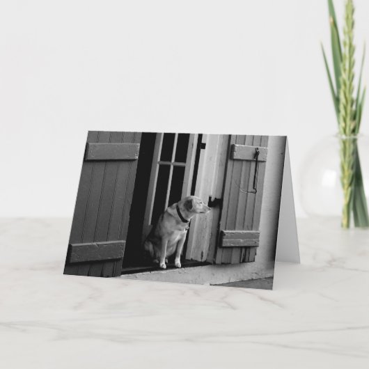 Blank Lucky Dog Wenskaart Kaart (Voorkant)