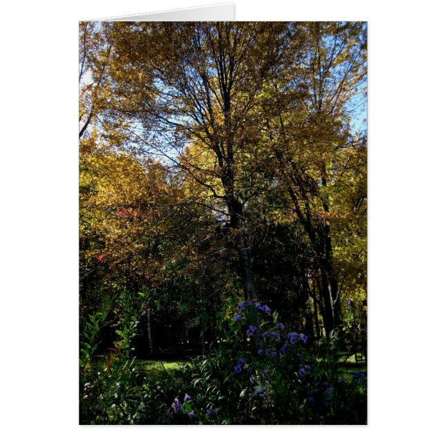 Blank_Mauve-structuur (Voorkant)