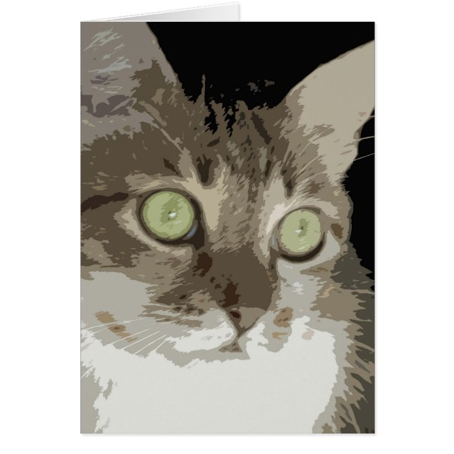 Blank - Missy Kay (Voorkant)