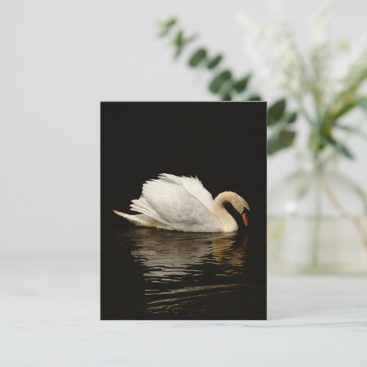 Blank Note Card with Beautiful Swan post card Briefkaart (Staand voorkant)