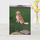 Blank Note Kaart met Golden Retriever Jake (Gele Bloem)