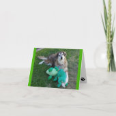 Blank Note Kaart met kikkers (Voorkant)