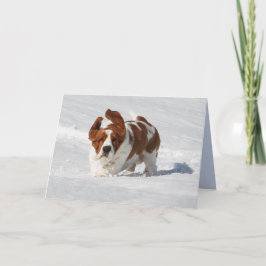 Blank Note Kaart w / Mooie Basset Hound