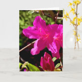 Blank Pink Azaelea Kaart (Gele Bloem)