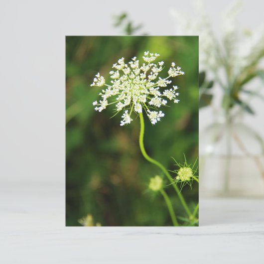 Blank Queen Anne's Lace Wildflower Notitiekaartje (Staand voorkant)