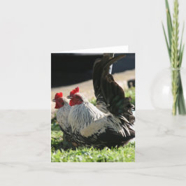 Blank, rooster bedankkaart