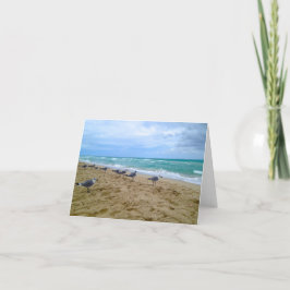 Blank Seagull Beach Kaart