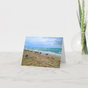 Blank Seagull Beach Kaart