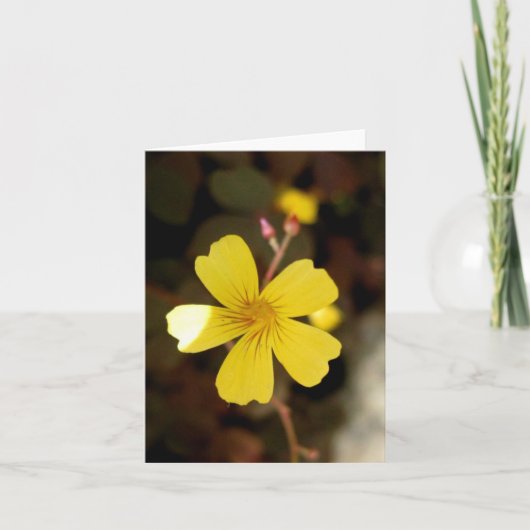 Blank_Tiny Yellow Kaart (Voorkant)