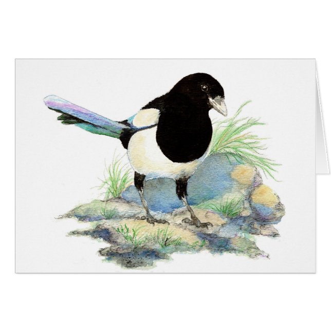 Blank Waterverf Magpie Garden Bird (Voorkant Horizontaal)
